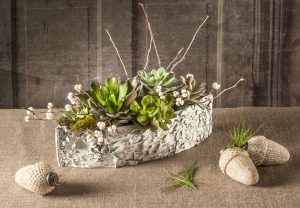 RWF Original fresh succulent heads artfully arranged with evergreen and berry accents in a natural birch boat.