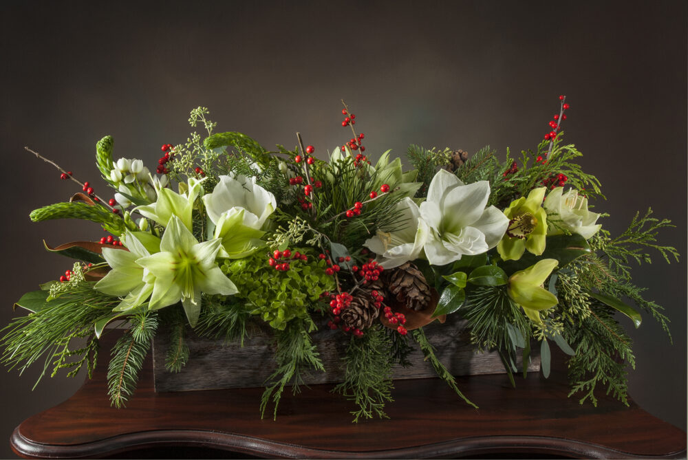 Beautiful green and white amaryllis holiday centerpiece, fresh flower arrangement with accents of red berries, cones, and evergreens delivered