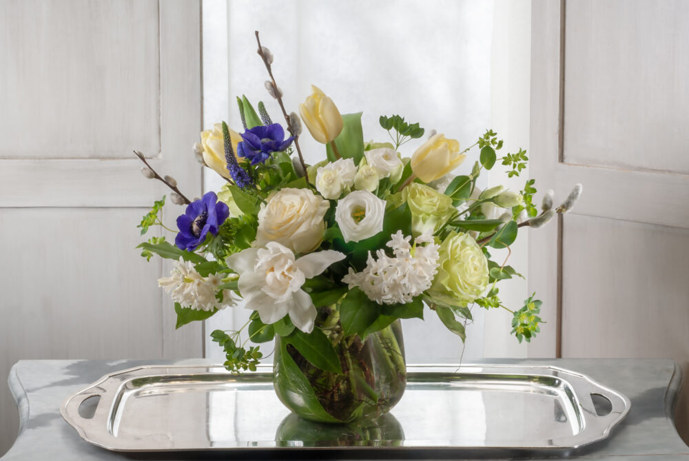 Cheerful spring fresh flower arrangement in fresh green, and crisp white, with bright purple accents in an emerald leaf-wrapped cylinder.