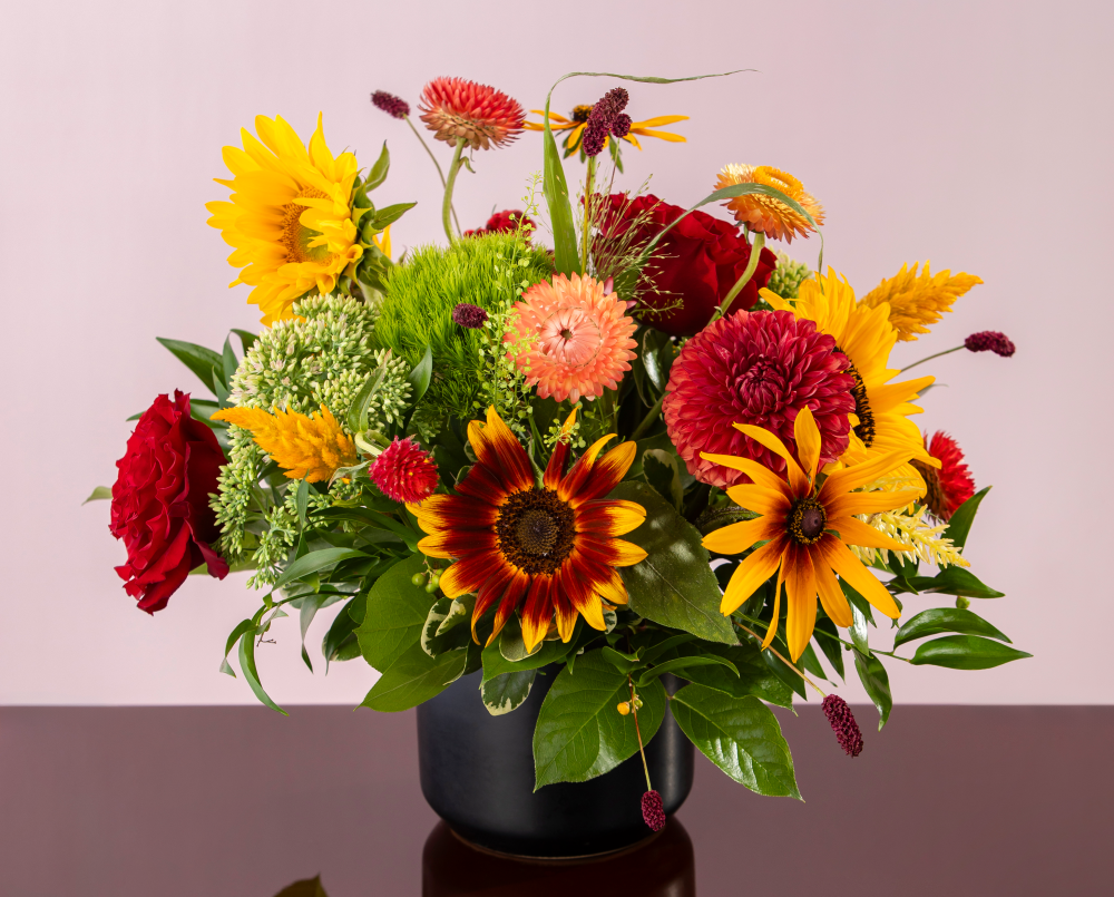 A vibrant crimson red, gold and green mix of autumn seasonal flowers in a black ceramic cylinder vase, delivered.