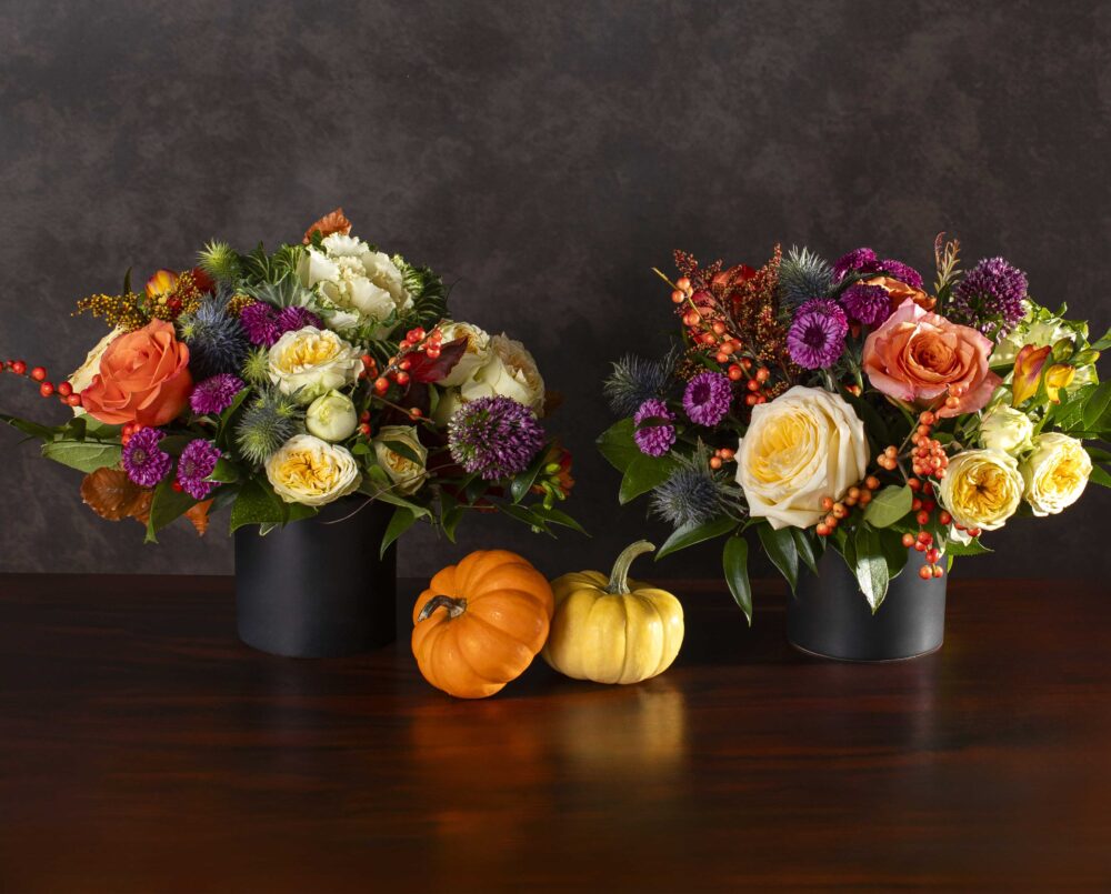 A bright butter yellow, orange, purple and green mix of autumn seasonal flowers in a ceramic vase, delivered, thanksgiving