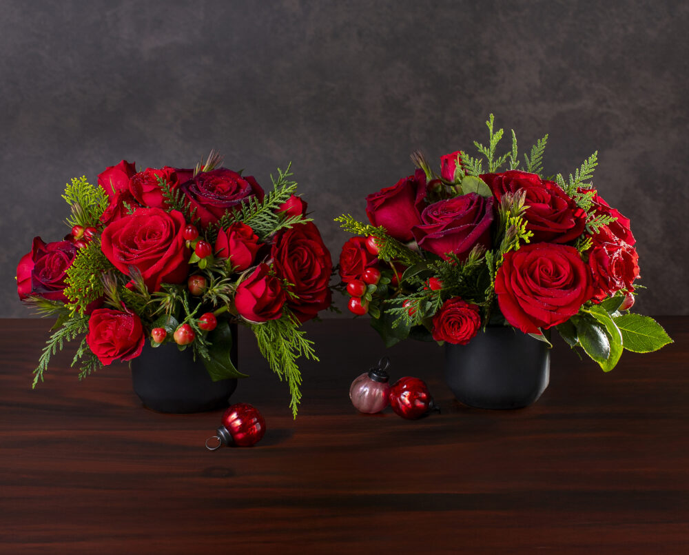 A small bright red and green holiday centerpiece with red amaryllis, roses and ilex berry in lush evergreen and magnolia in a black ceramic rectangular vase, delivered, Christmas.