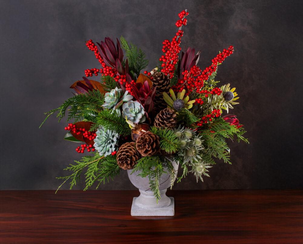 A large holiday arrangement with seasonal texture, blue eryngium, red ilex berries, pinecones, magnolia, evergreens, succulents, Leucadendron in a concrete pedestal vase, delivered, Christmas.