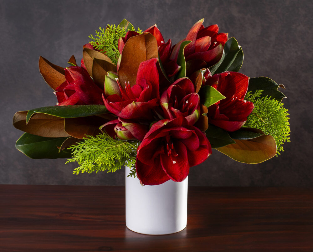 A contemporary, simple, flower arrangement with red amaryllis, bright green evergreens, brown magnolia in a white cylinder